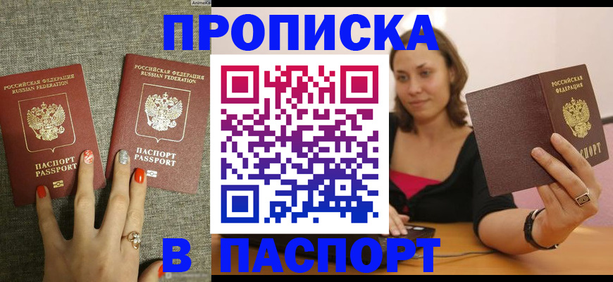 прописка паспорт в Борзе